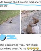 one more time for the sweet souvenir